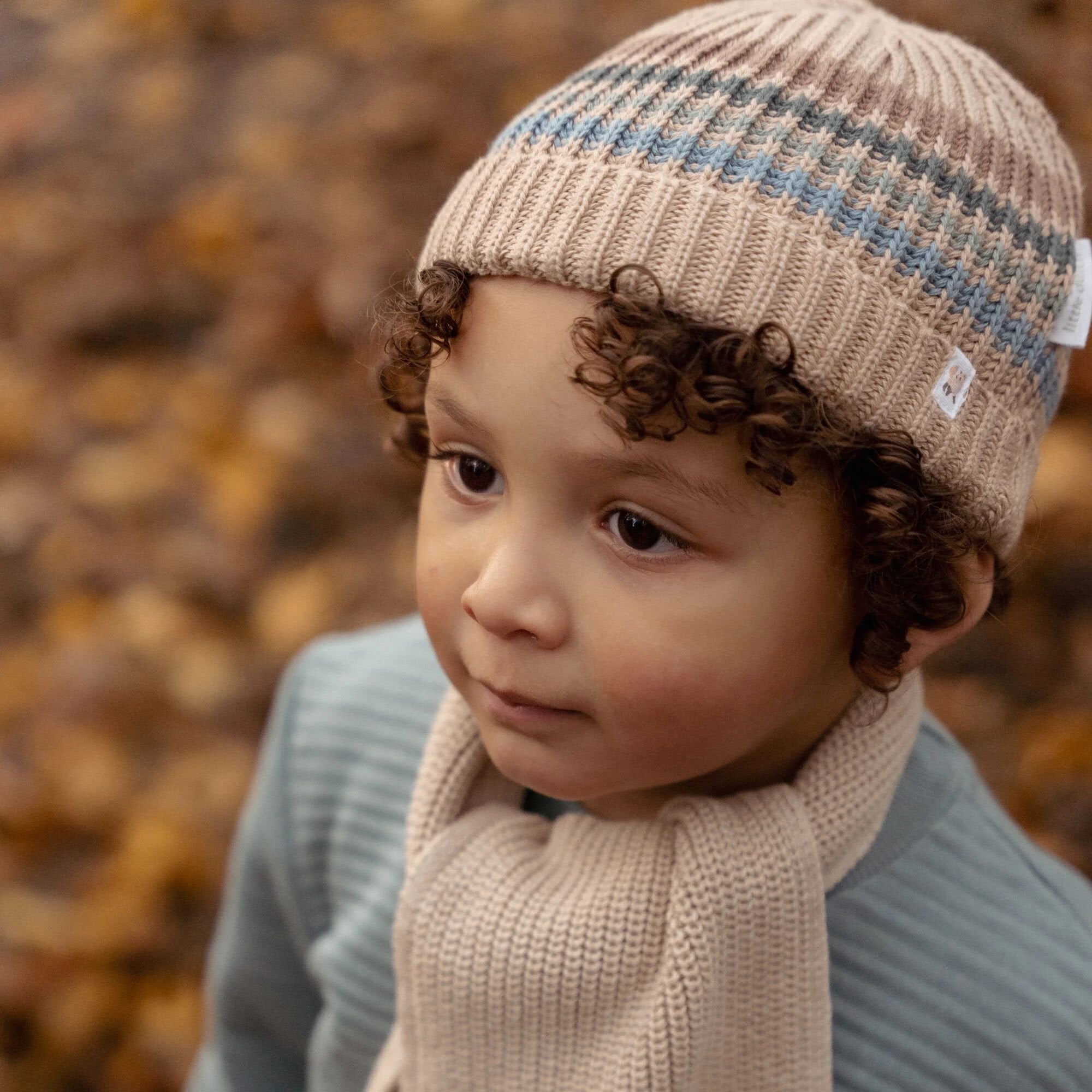 muts-bruin-forest-friends-stripe
