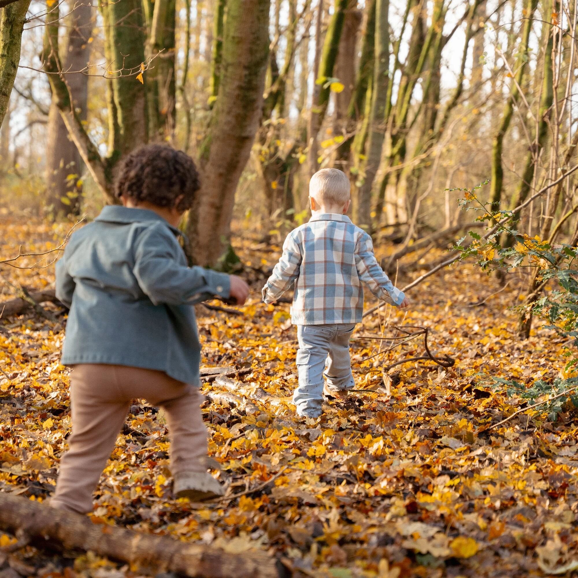 overhemd-blauw-forest-friends