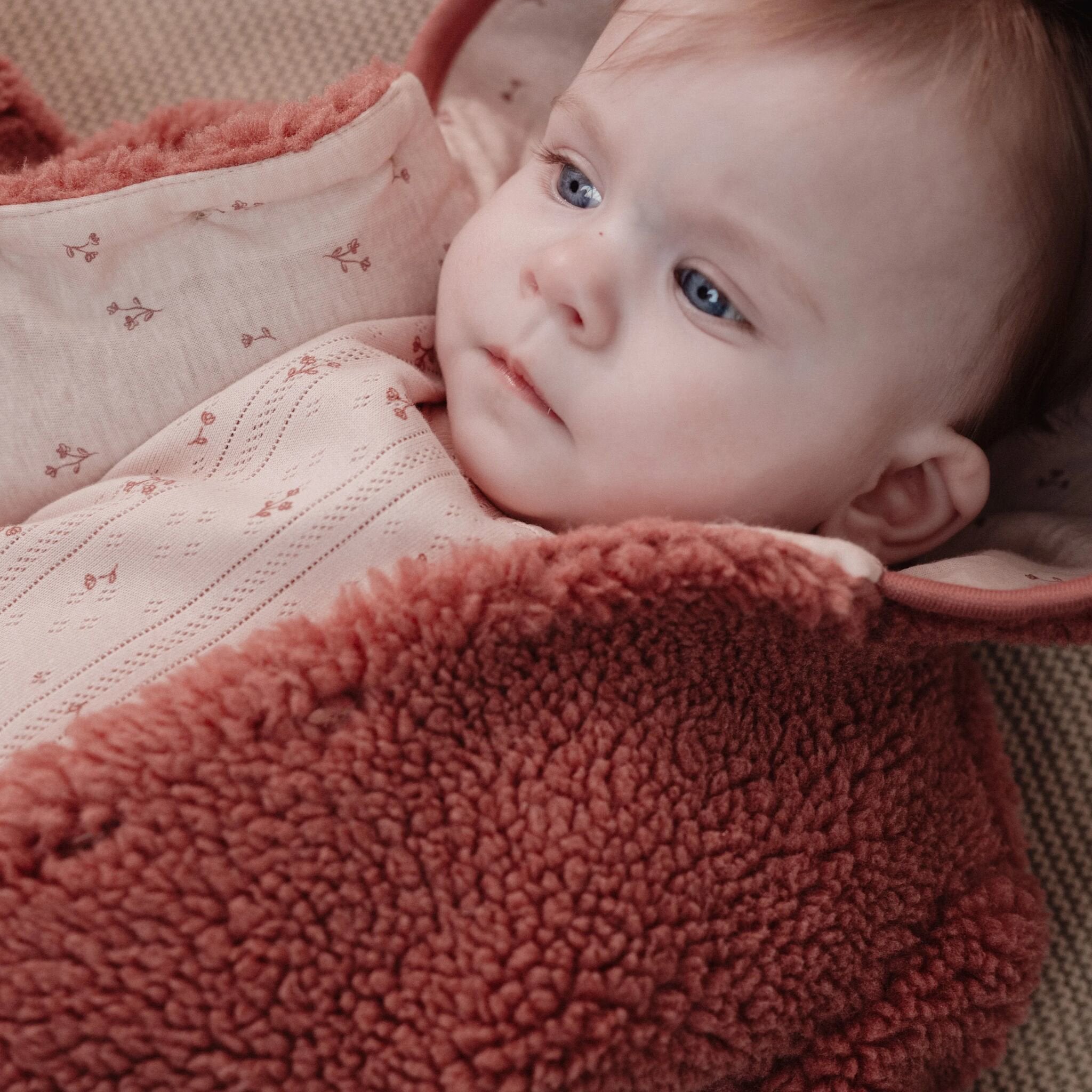 teddy-jasje-roze