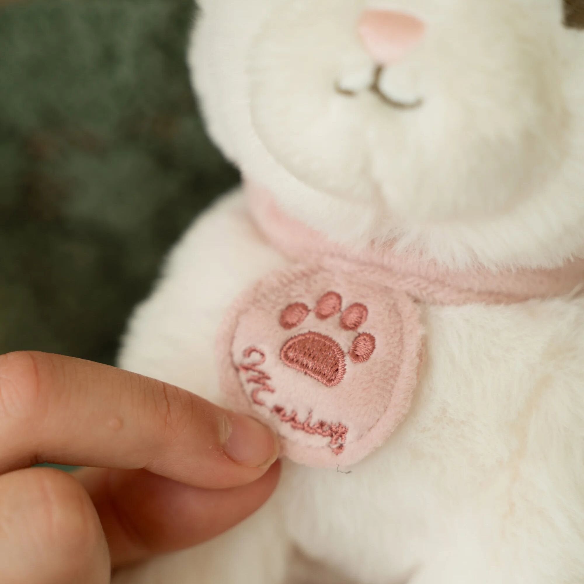 knuffelkat-in-bloementas-met-visje
