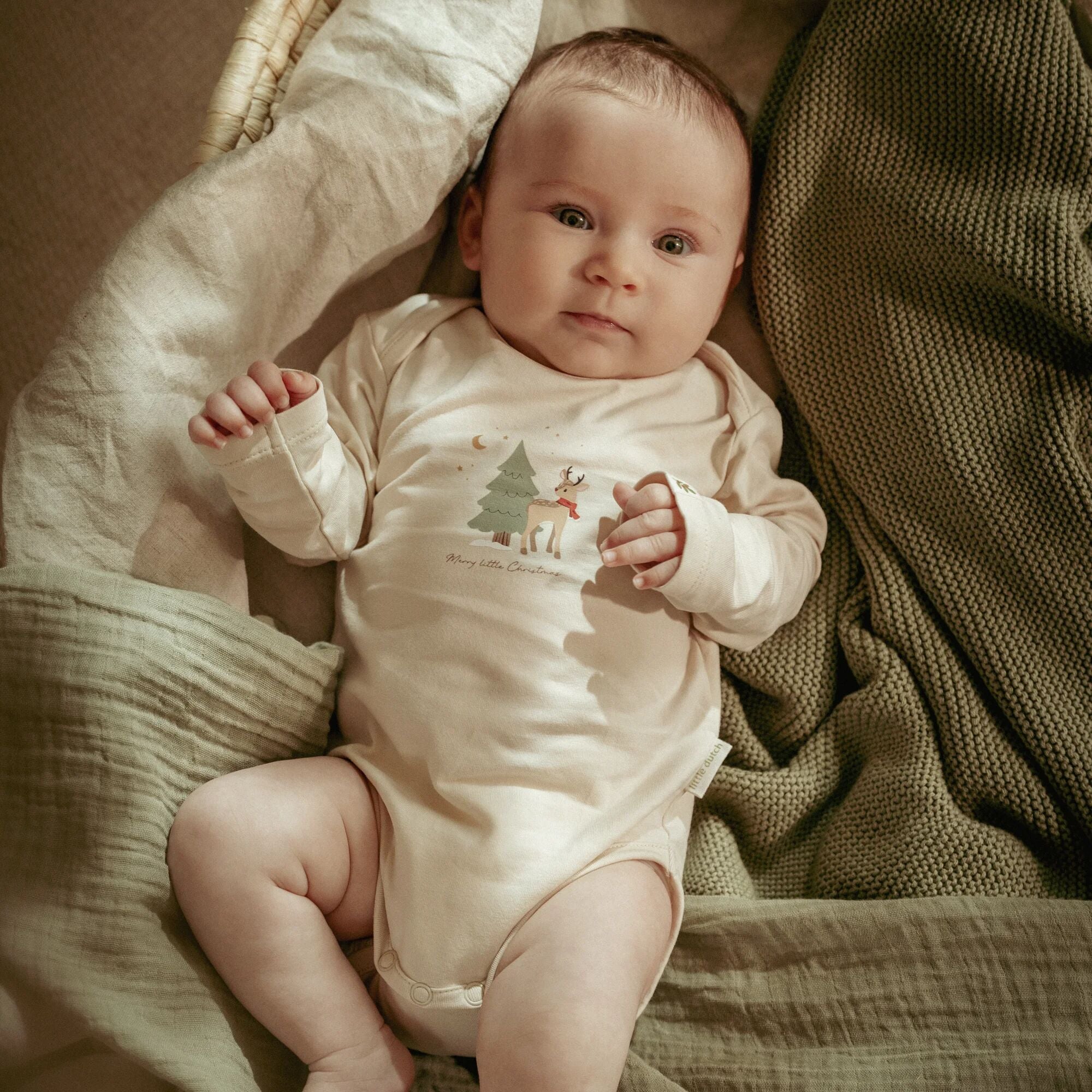 TupTam Baby Jongens Rompertjes met Lange Mouwen 5-Pack, Kleurenmix 4, 74 TupTam Baby Jongens Rompertjes met Lange Mouwen 5-Pack, Kleurenmix 4, 74