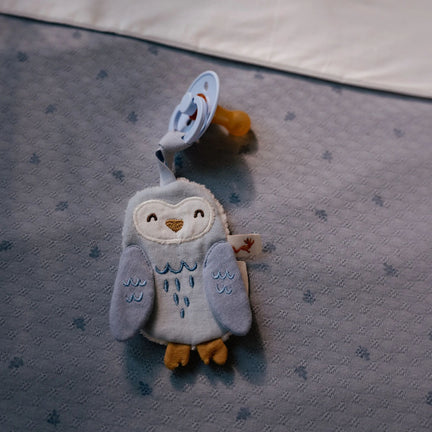 speendoekje-blauw-forest-friends