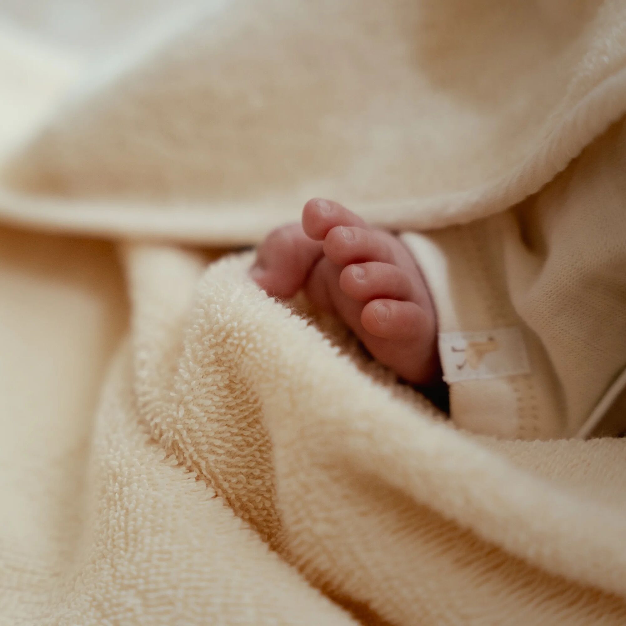 badcape-wit-newborn-naturals-little-goose