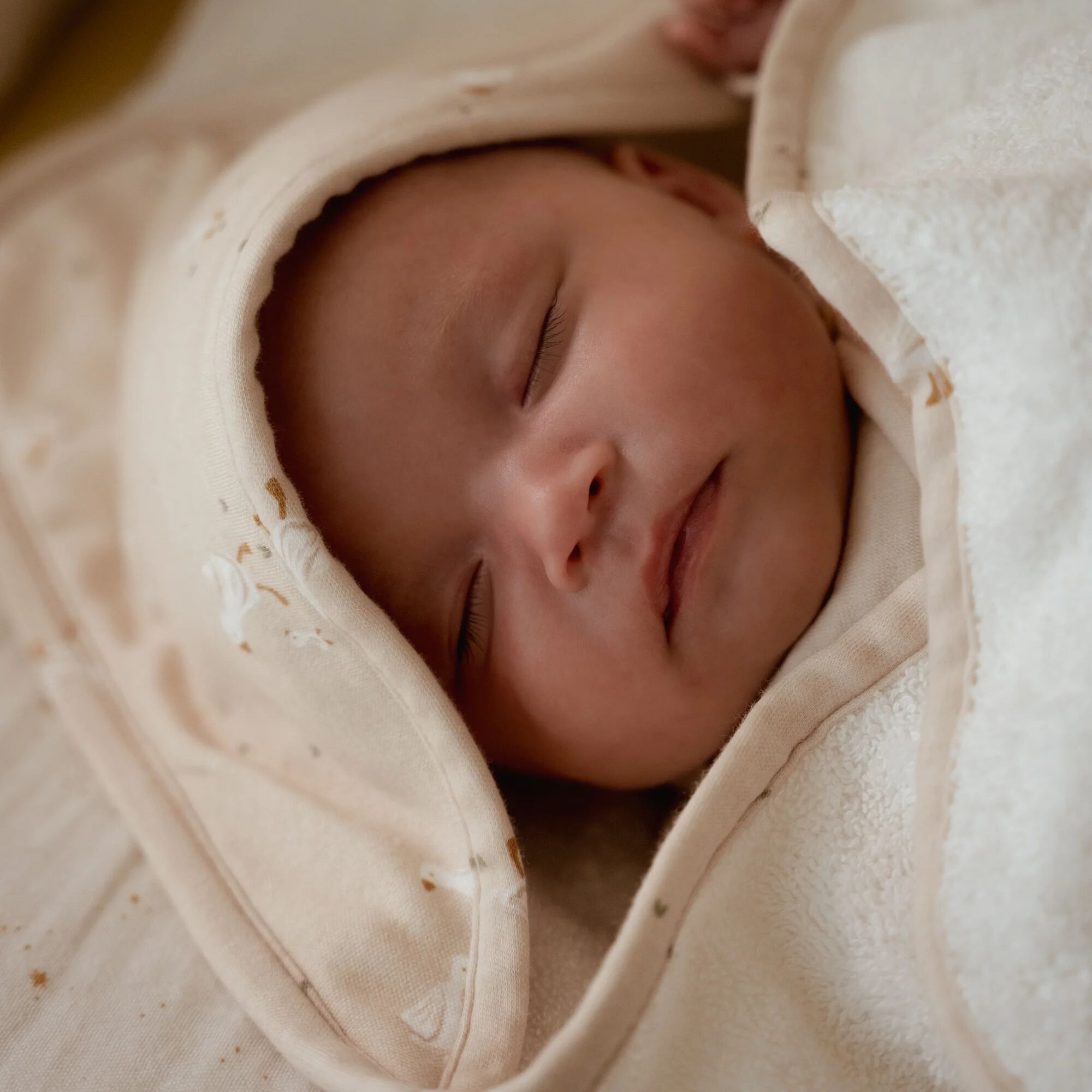 badcape-wit-newborn-naturals-little-goose