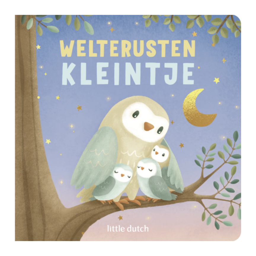 boekje-welterusten-kleintje-nl