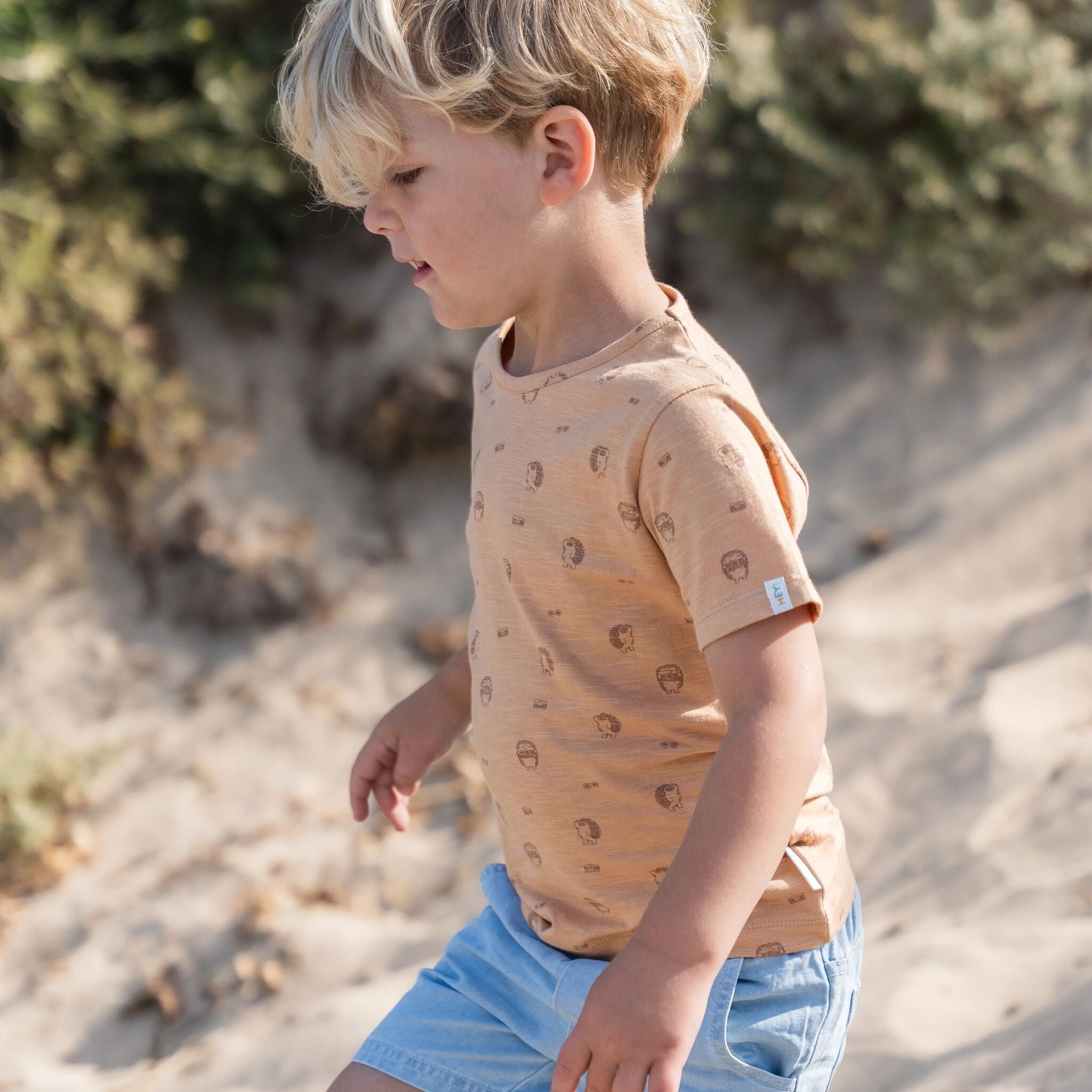 Shirt short sleeve - Brown 