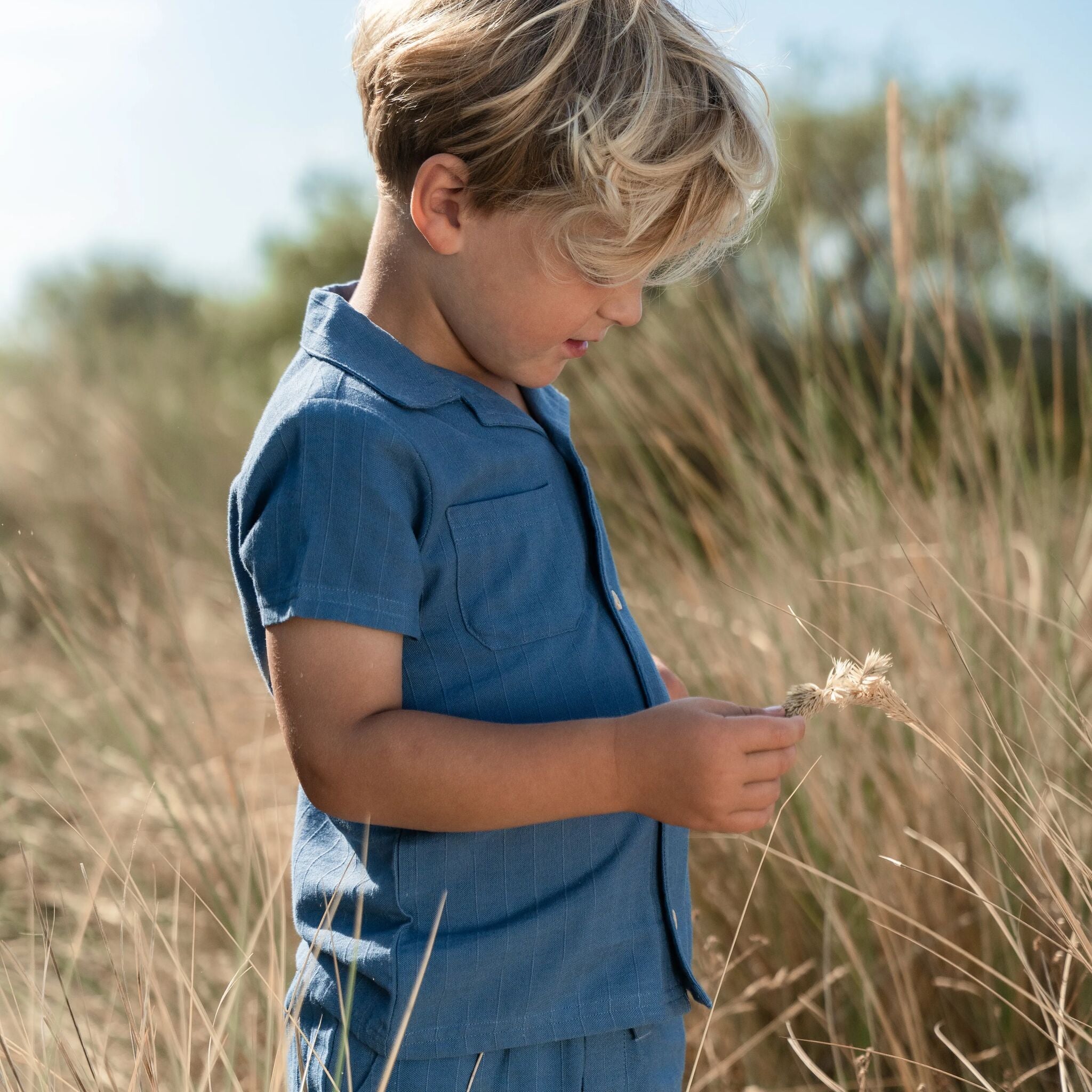 Bluse - Kurzer Ärmel - Blau 