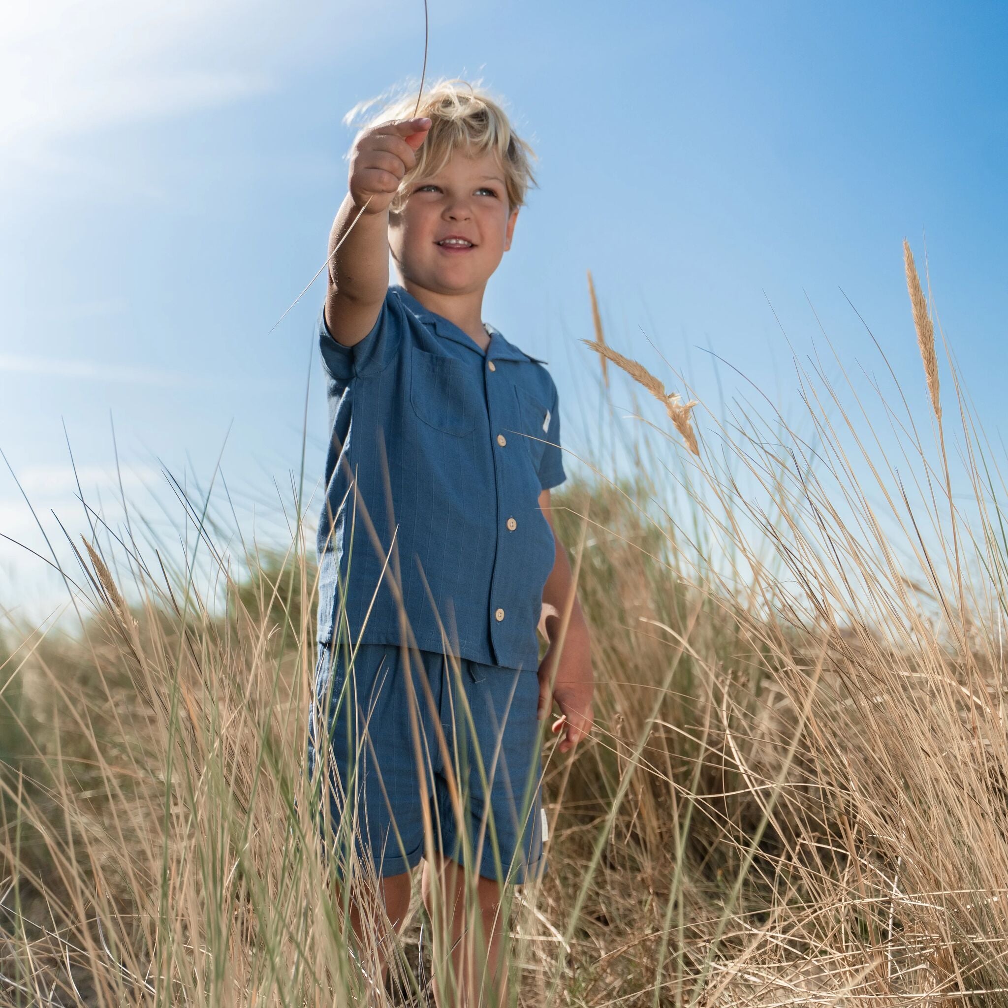 Bluse - Kurzer Ärmel - Blau 
