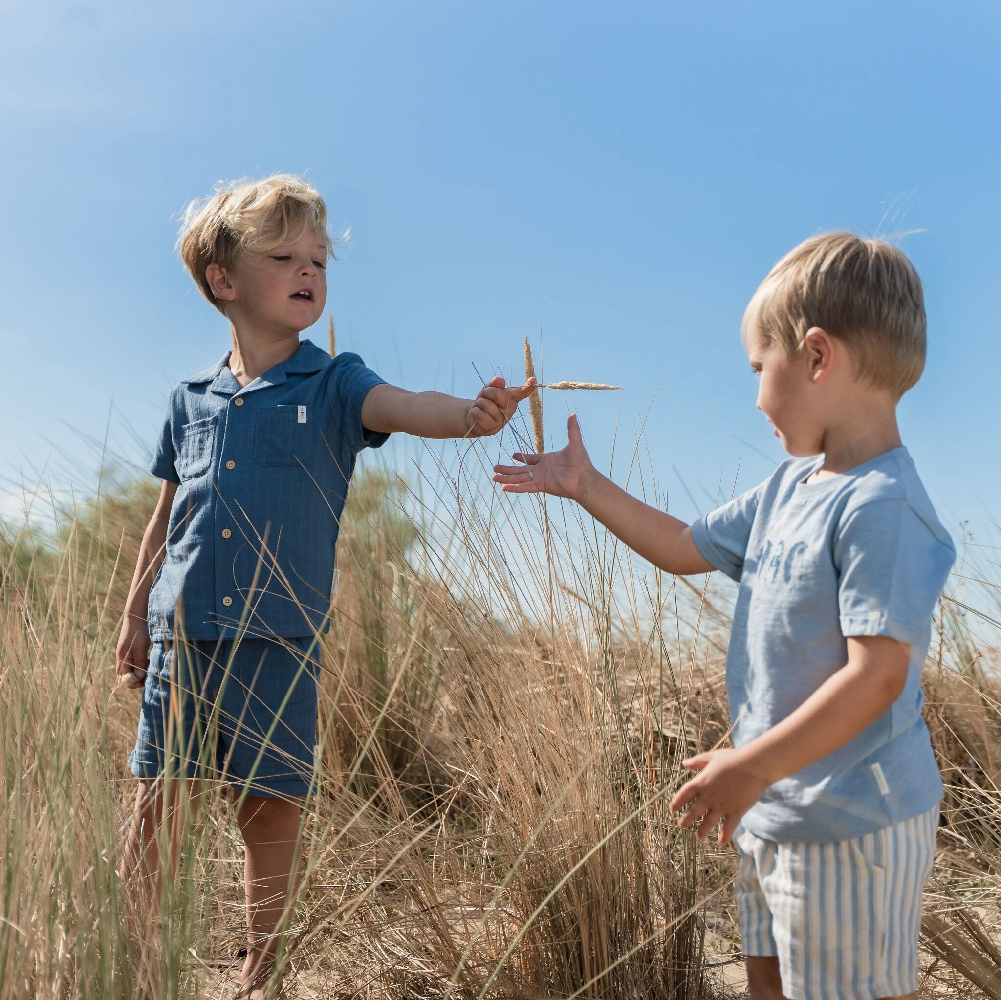 Bluse - Kurzer Ärmel - Blau 