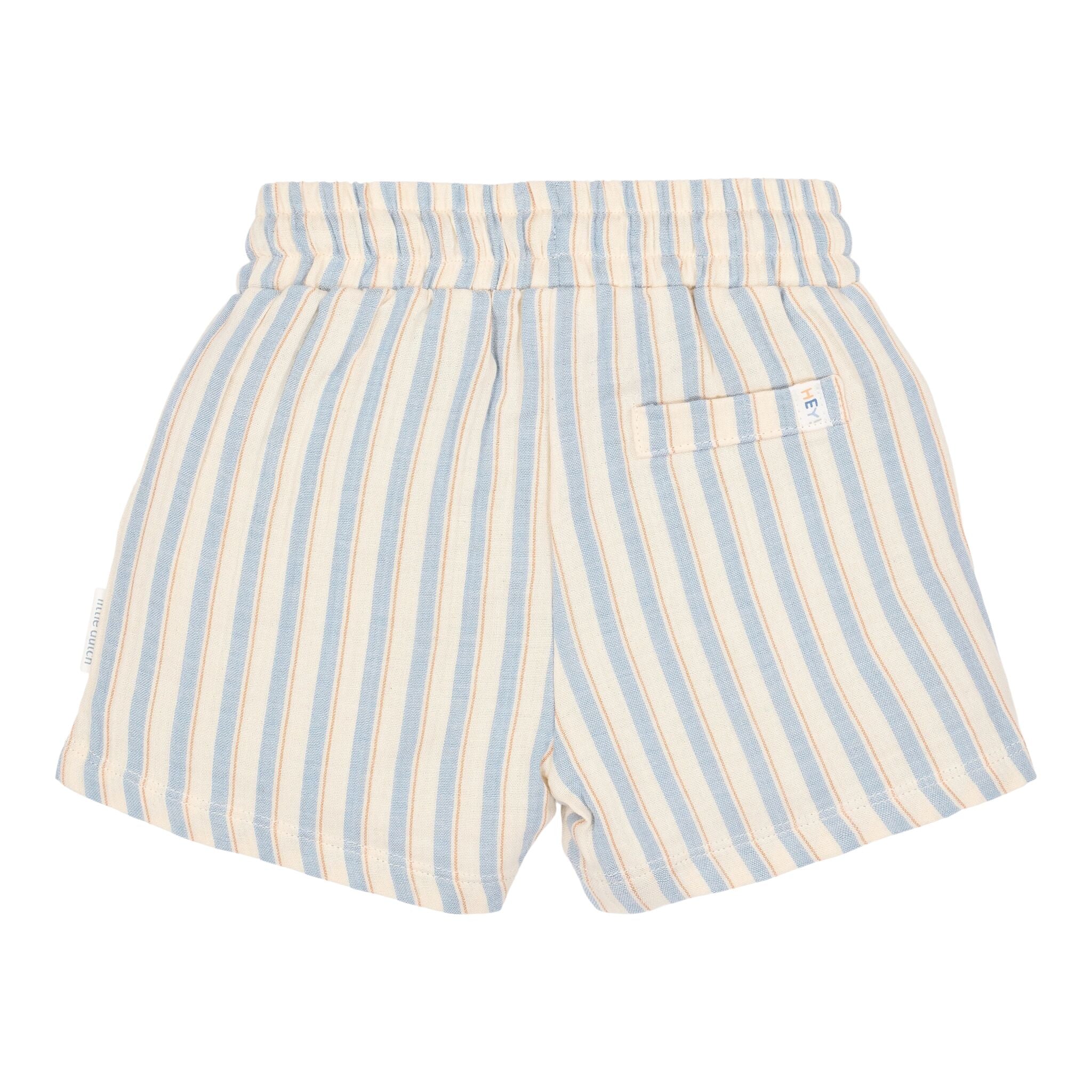 Shorts - Multi Stripe 