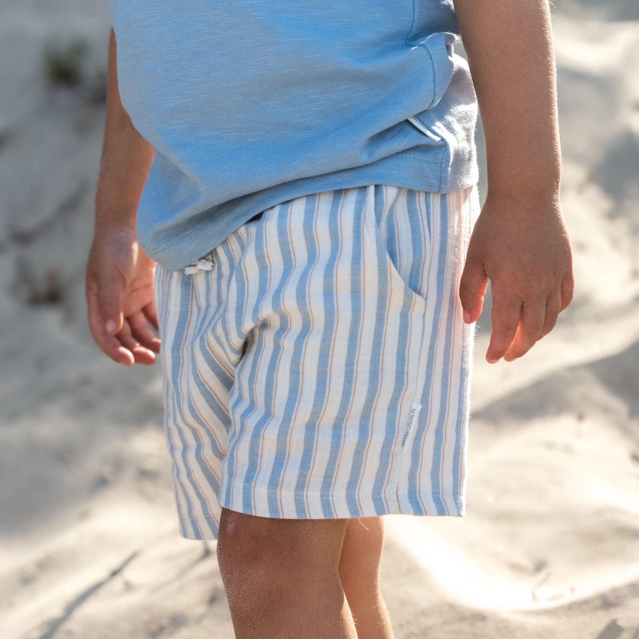 Shorts - Multi Stripe 