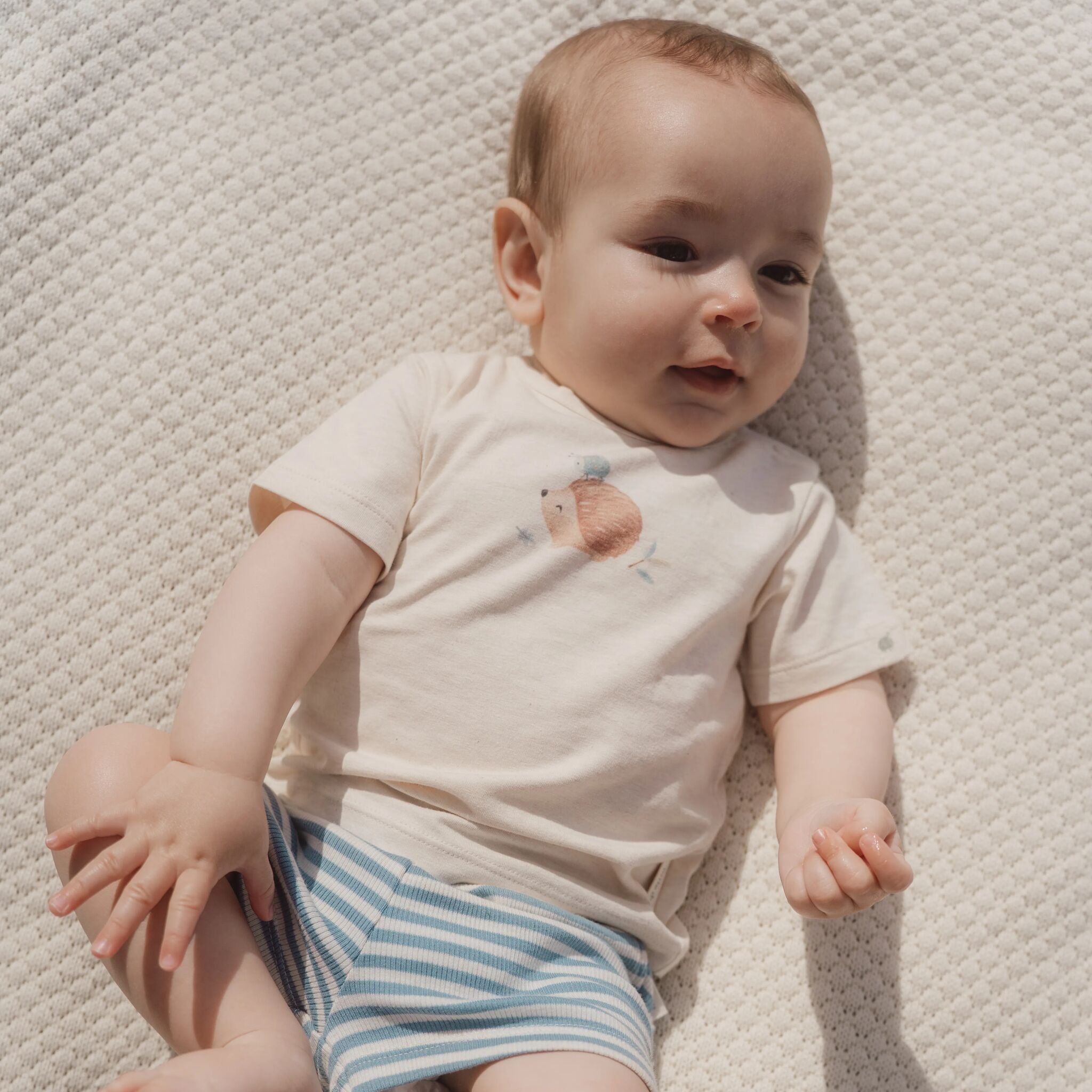 Gestreepte korte broek - Blauw