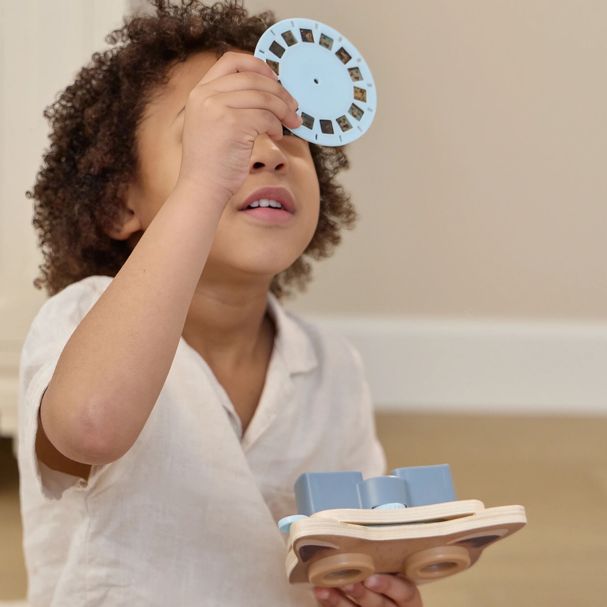 Story Viewer Fox - Blue 