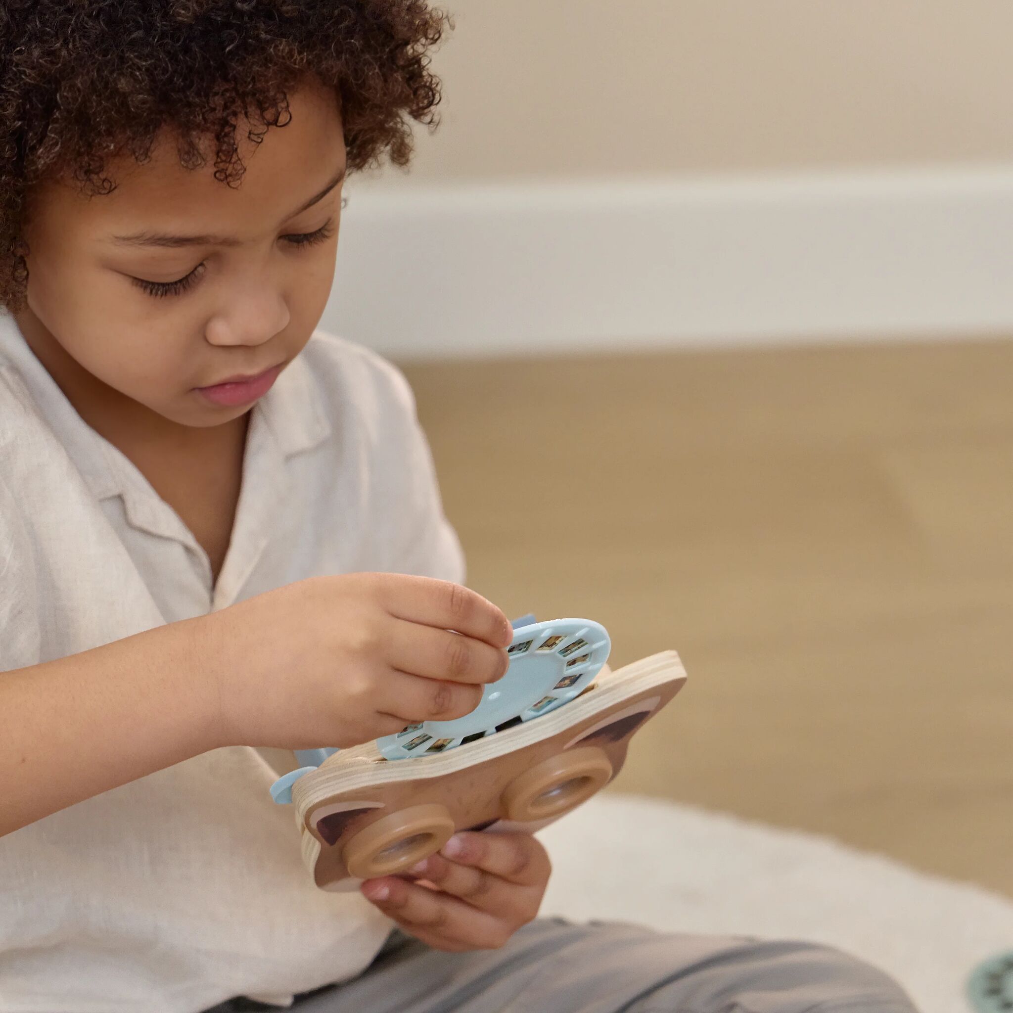 Story Viewer Fox - Blue 