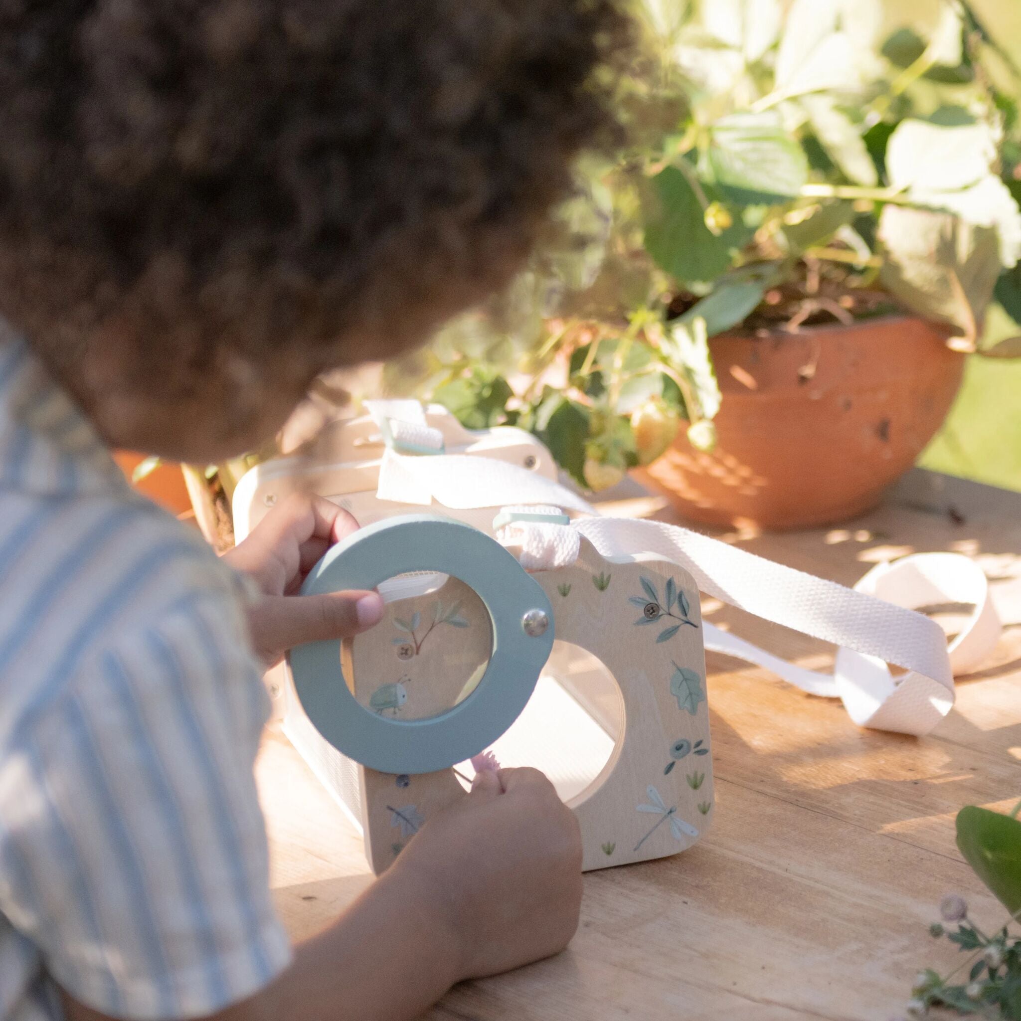 Boîte à insectes - Vert 