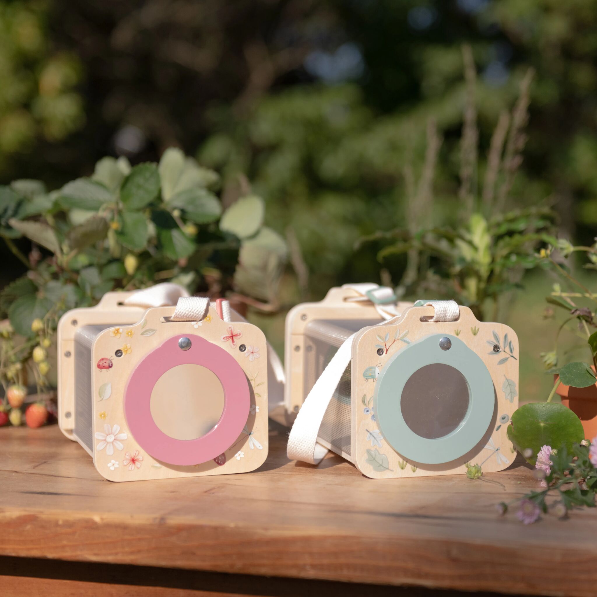 Boîte à insectes - Vert 