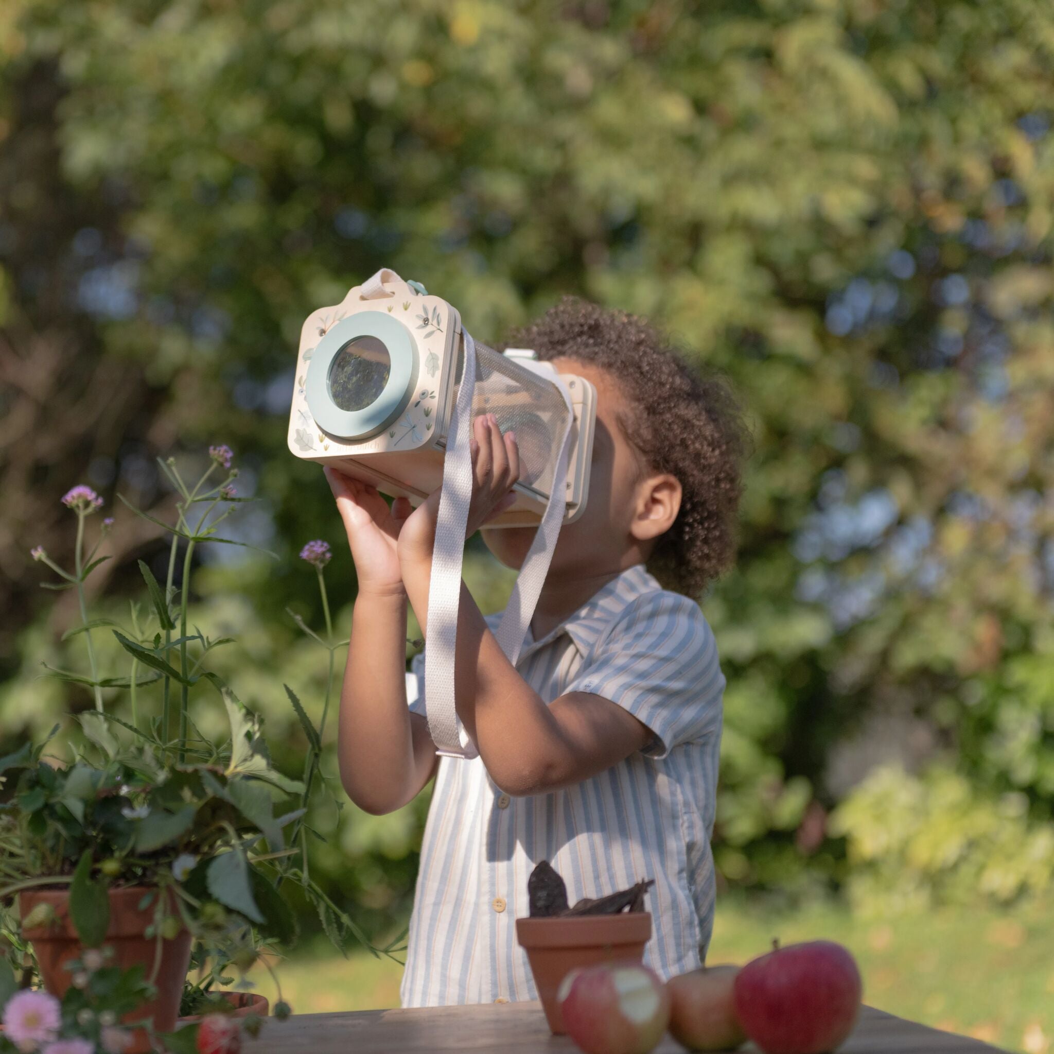 Boîte à insectes - Vert 