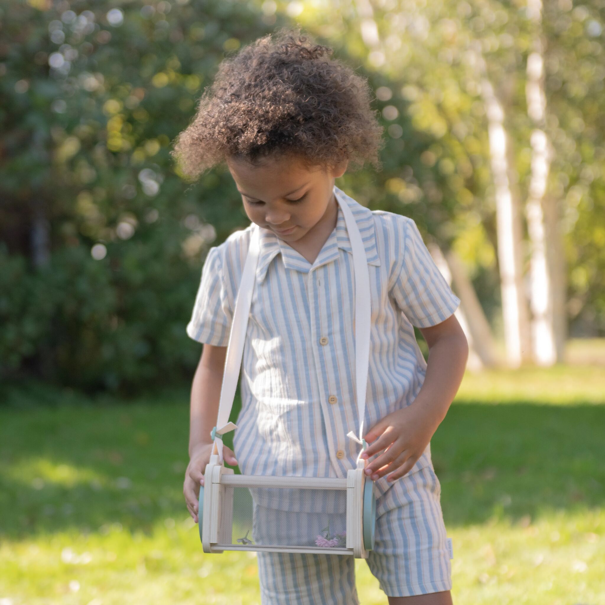 Boîte à insectes - Vert 