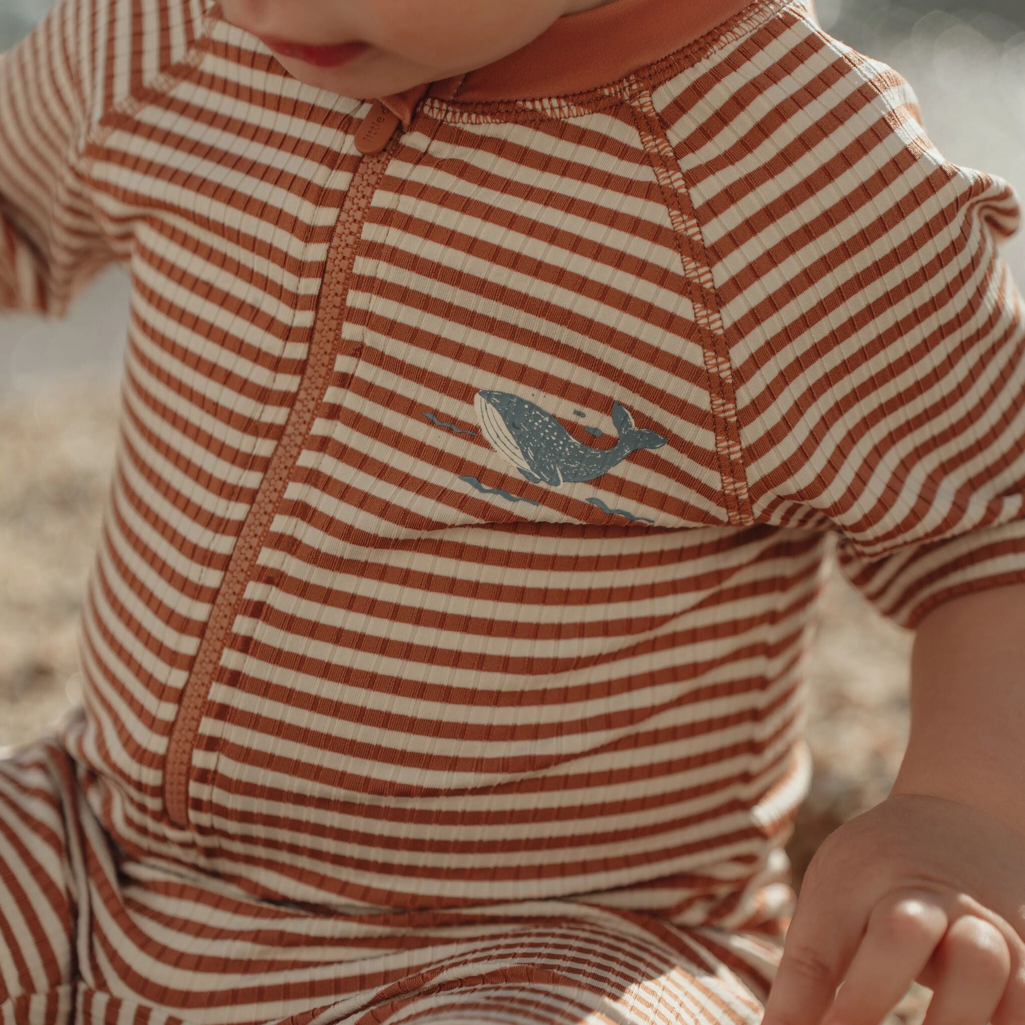 Zwempak korte mouw - Bruin - Ocean Brown Stripes