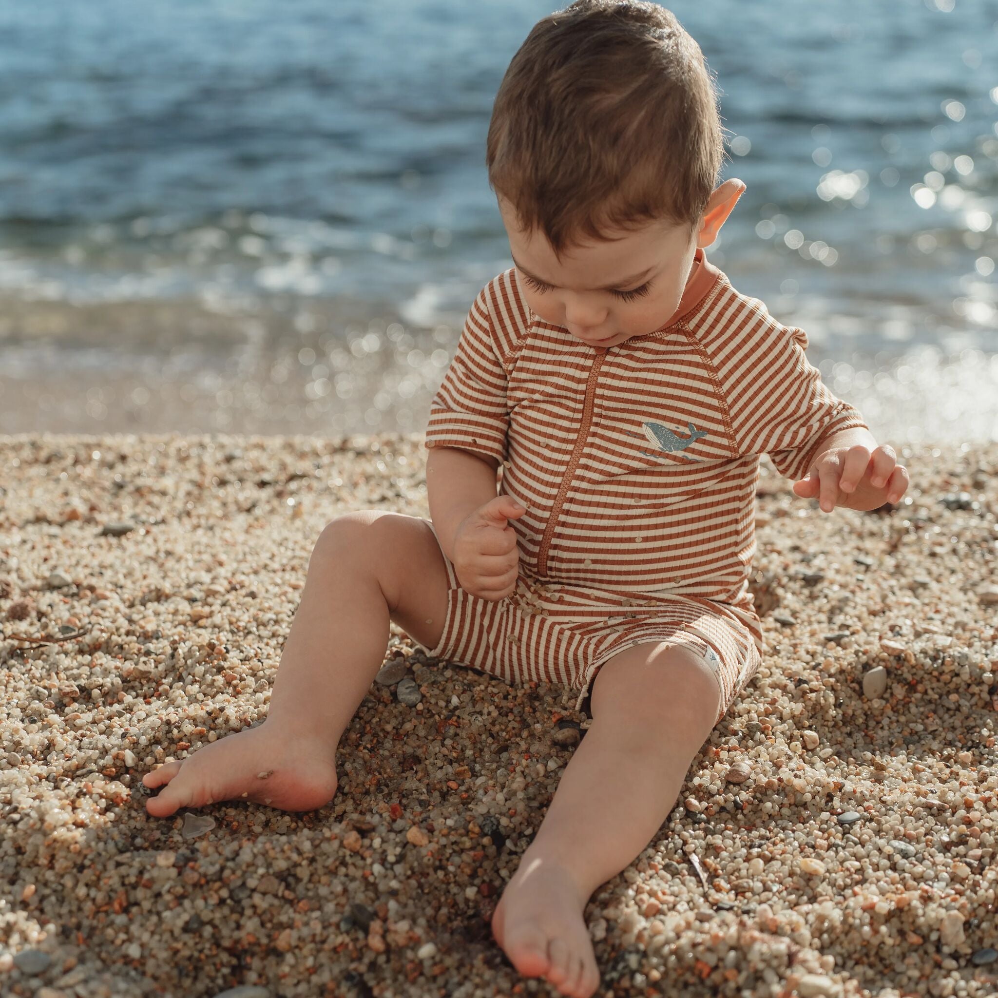 Zwempak korte mouw - Bruin - Ocean Brown Stripes