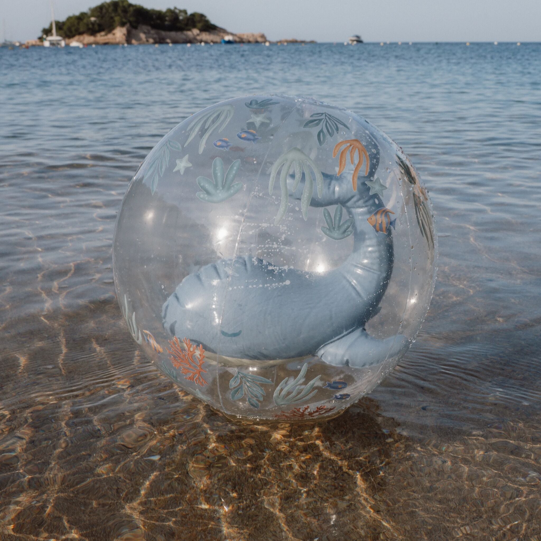 Beach Ball - 3D Whale - Ocean World 