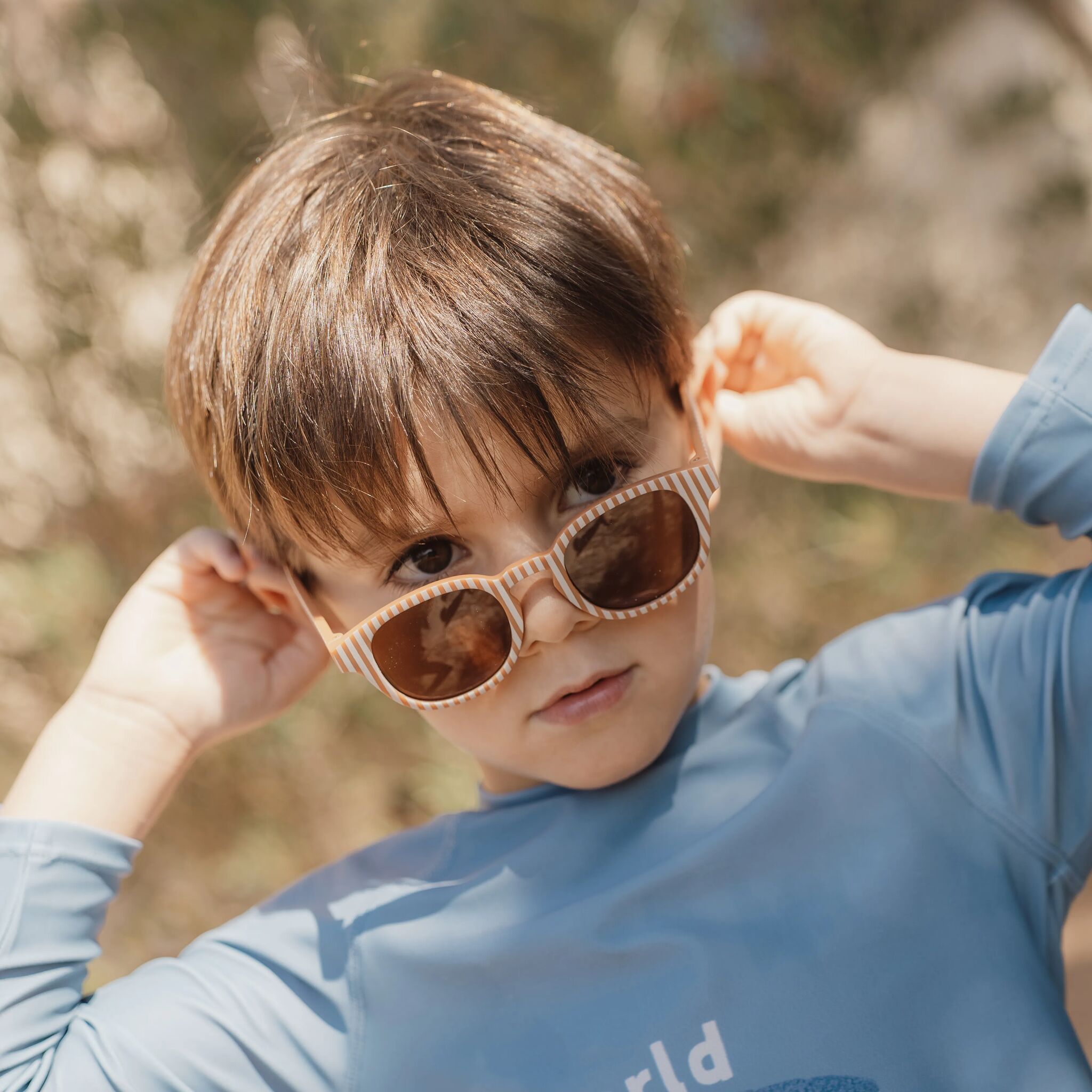 Sunglasses - Brown - Stripes 