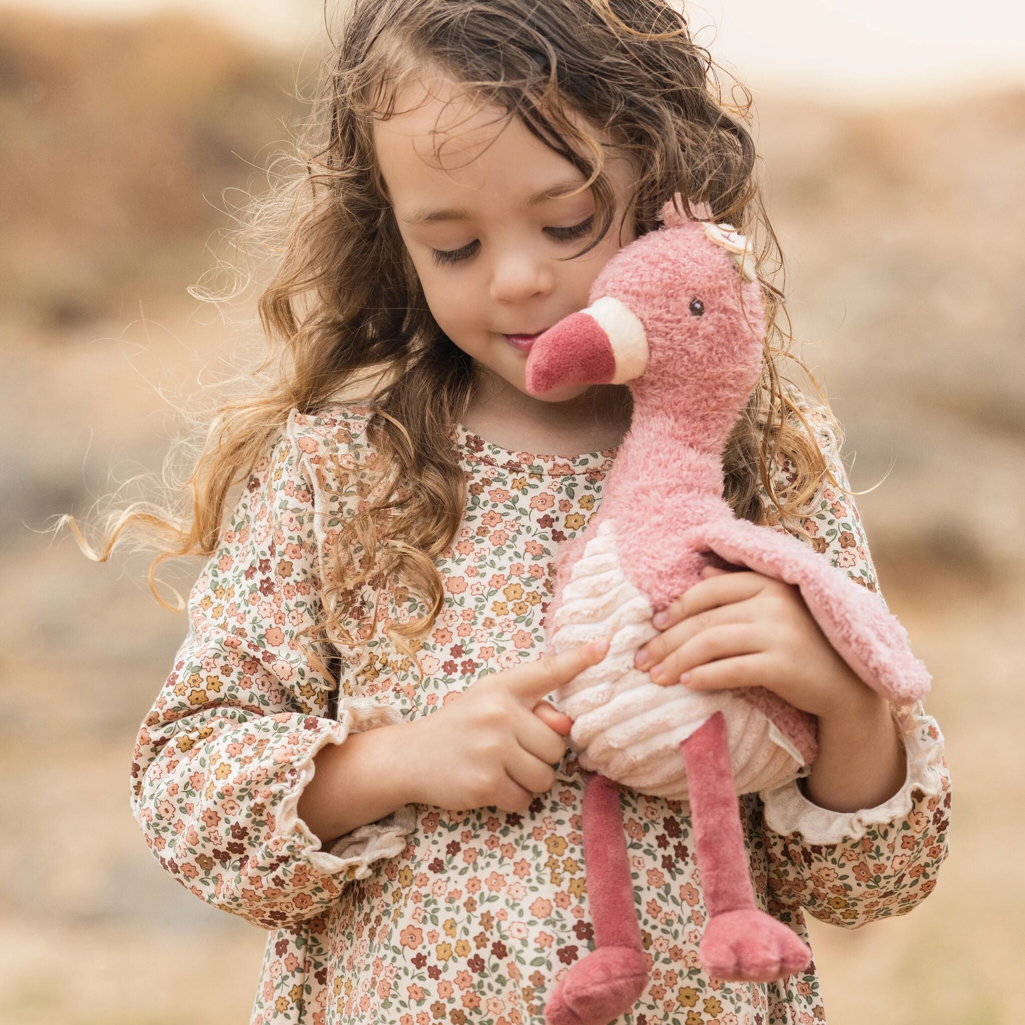 Flora the flamingo and her friends