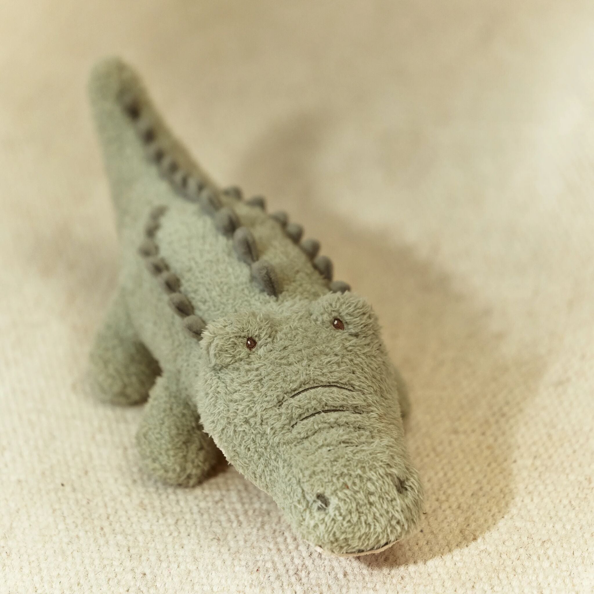 Peluche Crocodile - Vert