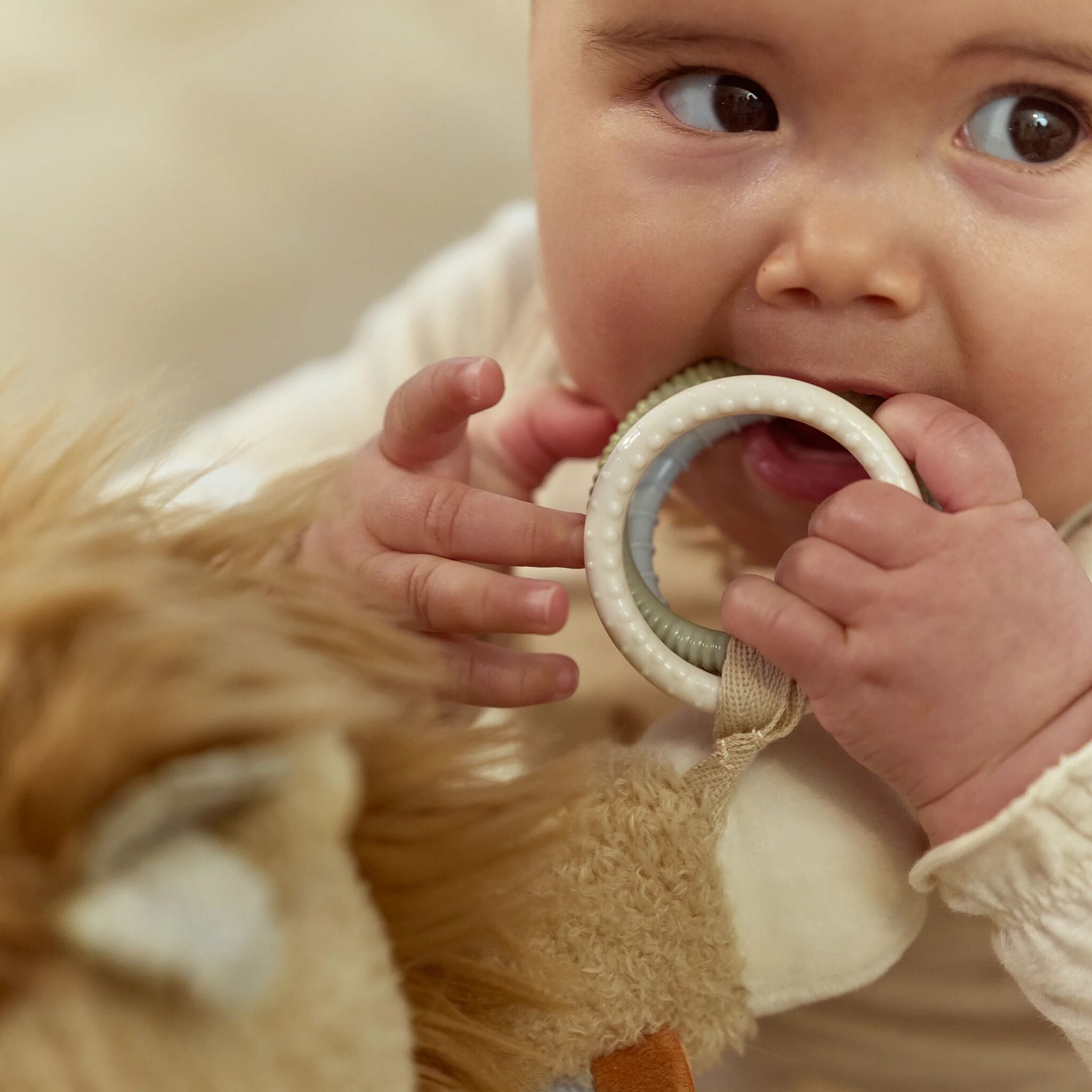 Peluche d'activité Lion - Jaune