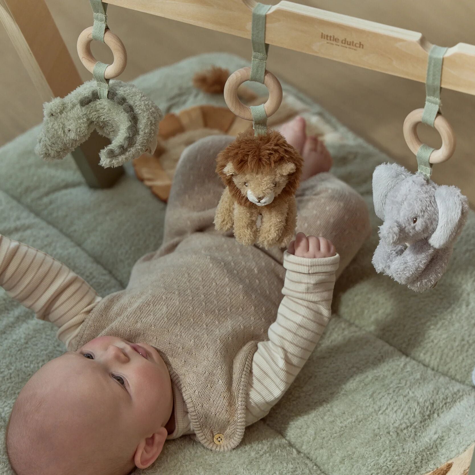 Babygym Safari: Wooden Arch with Soft Cuddly Toys for Baby's