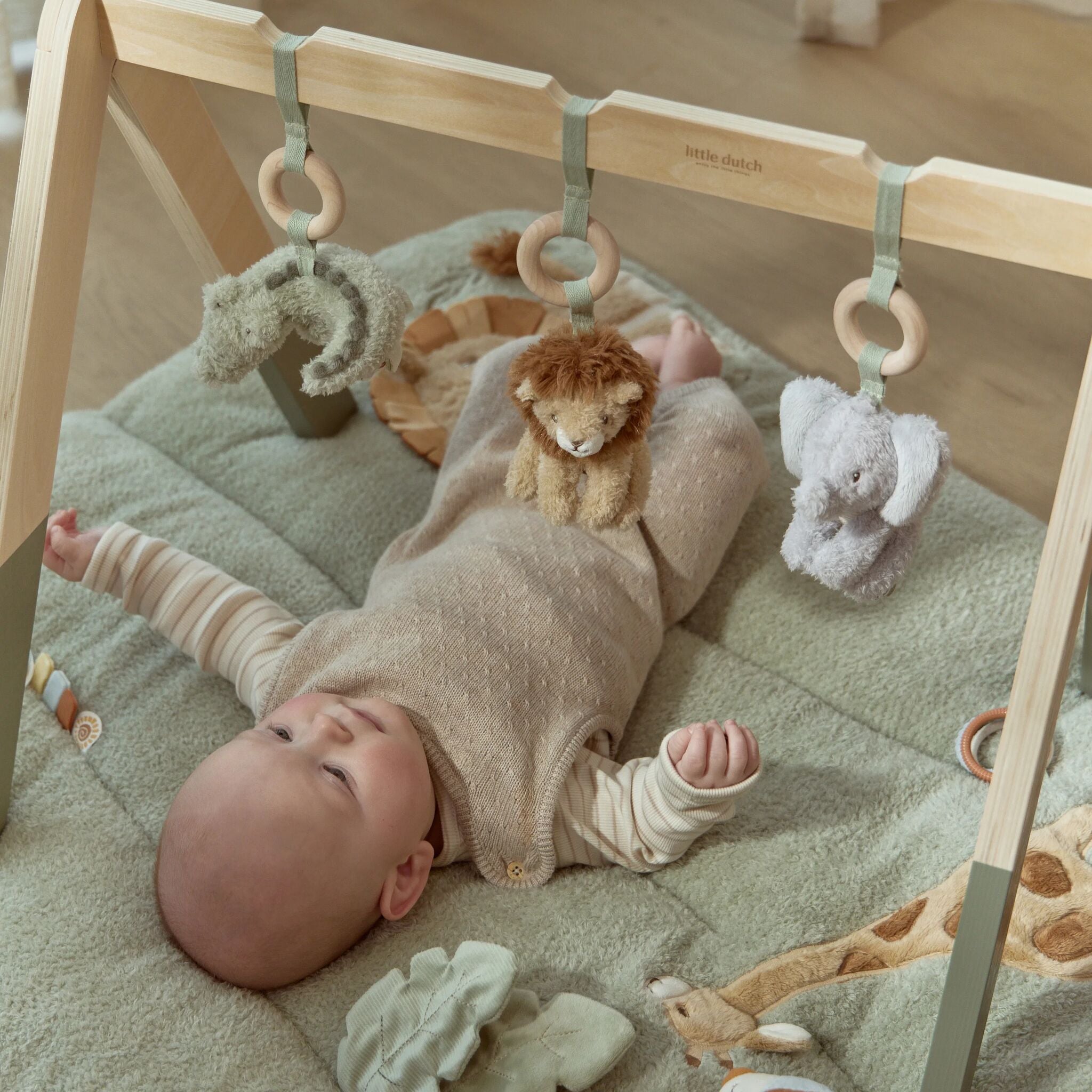 Babygym Safari: Wooden Arch with Soft Cuddly Toys for Baby's