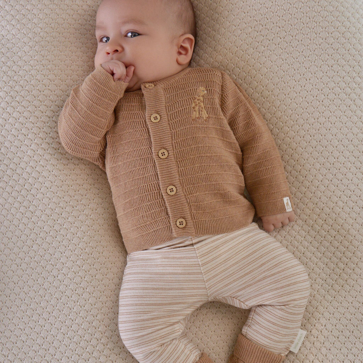 Gebreid Vest Bruin