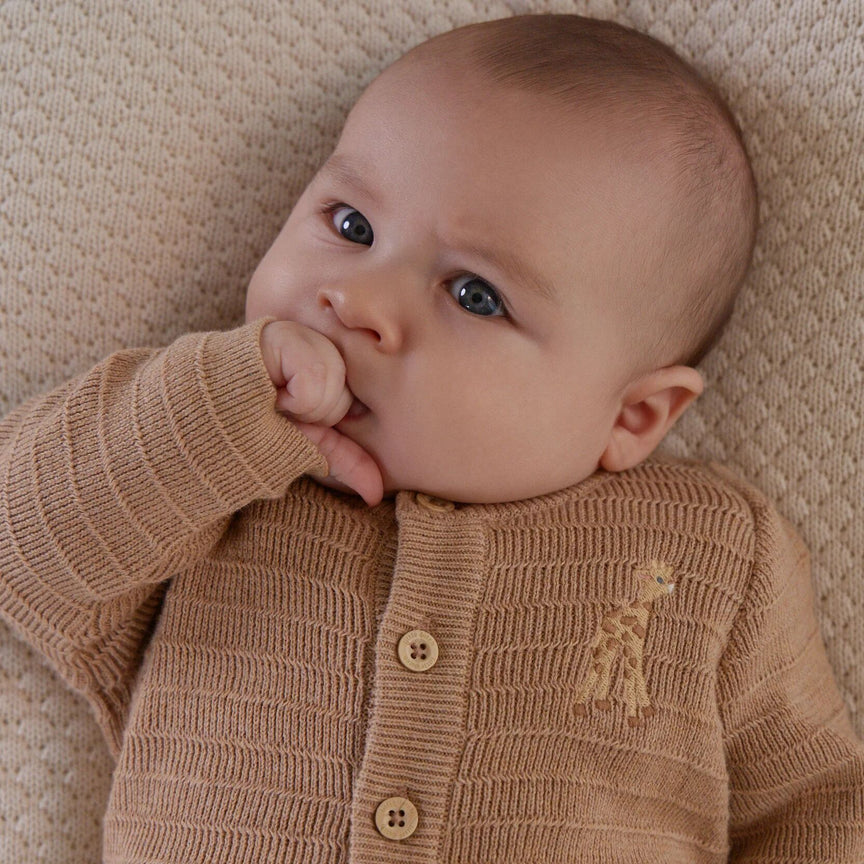 Gebreid Vest Bruin