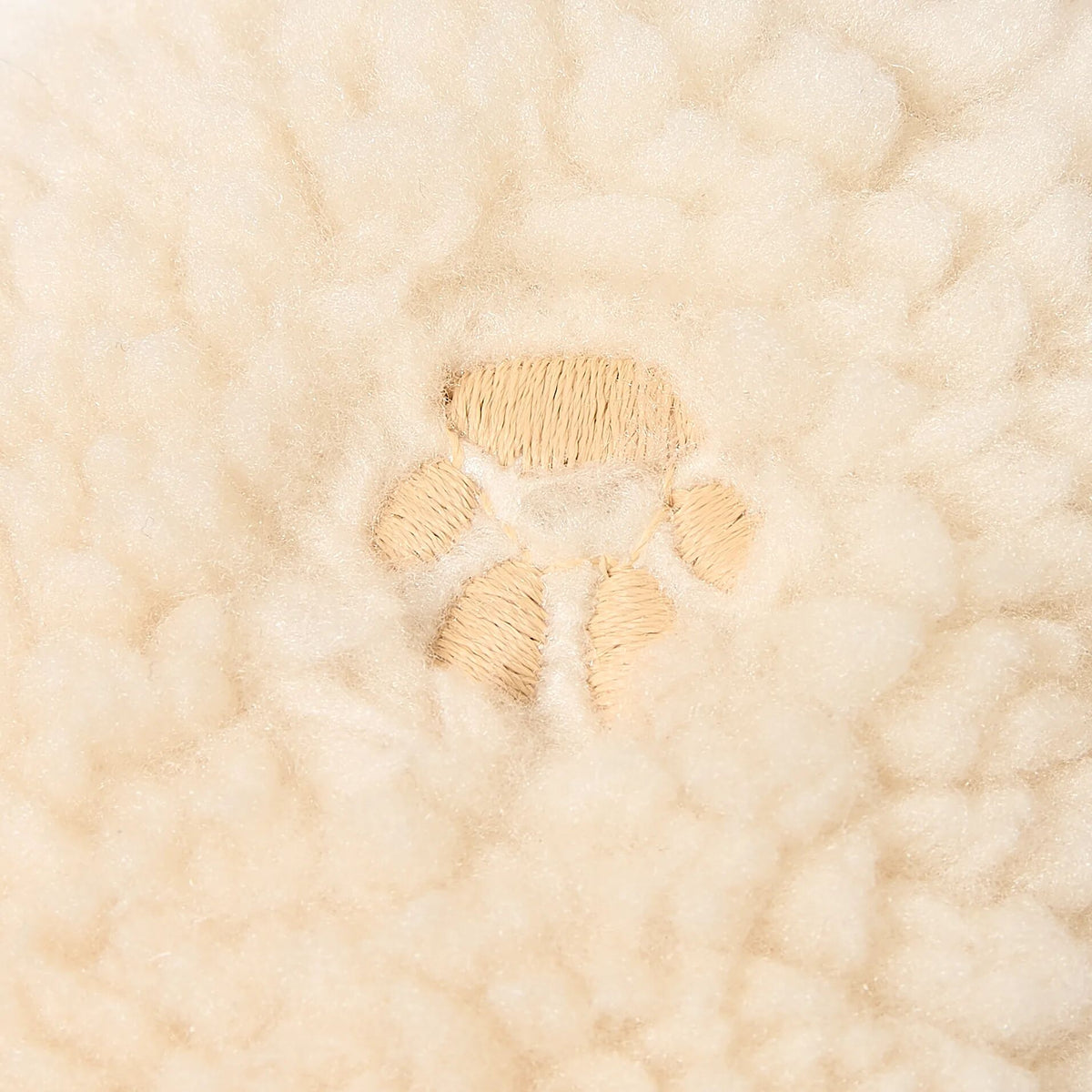 Teddy Pak Zand Pootjesprint
