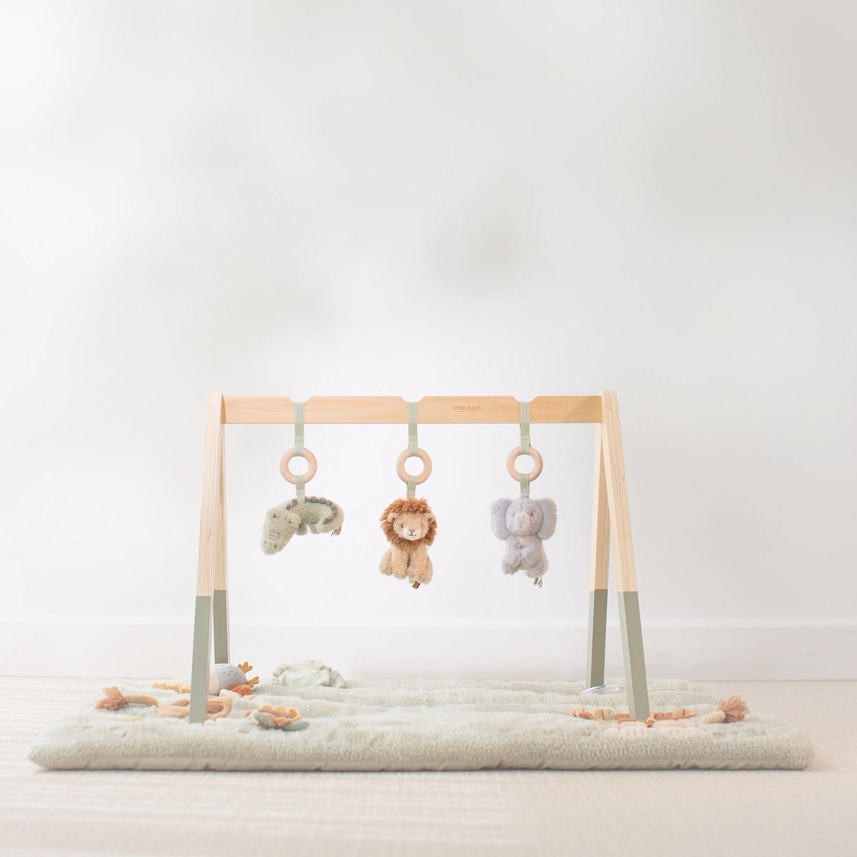 Baby gym