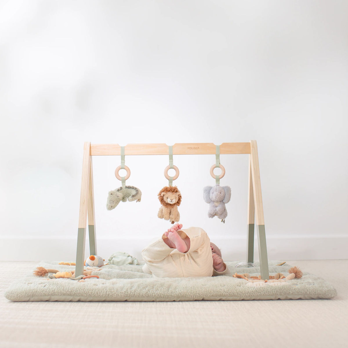 Baby gym