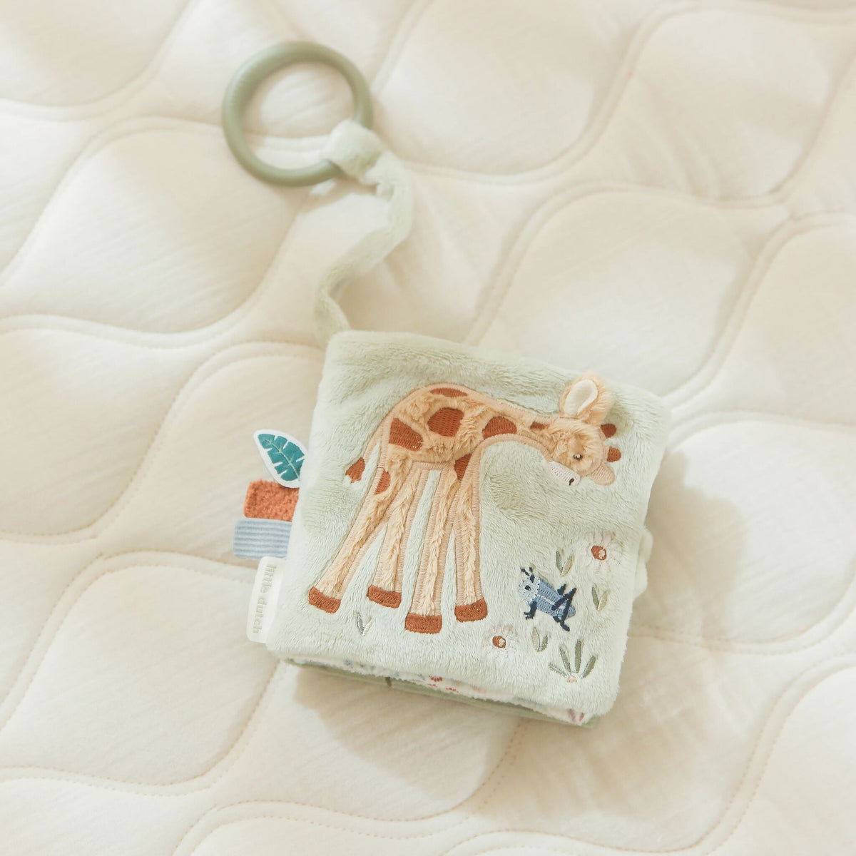 Buggy book