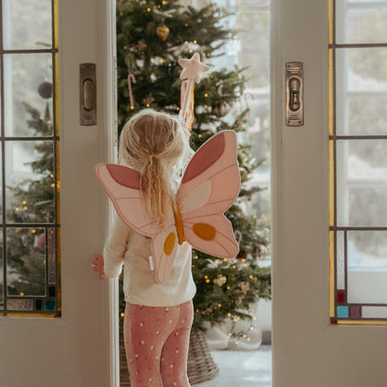 feeenvleugels-en-toverstaf