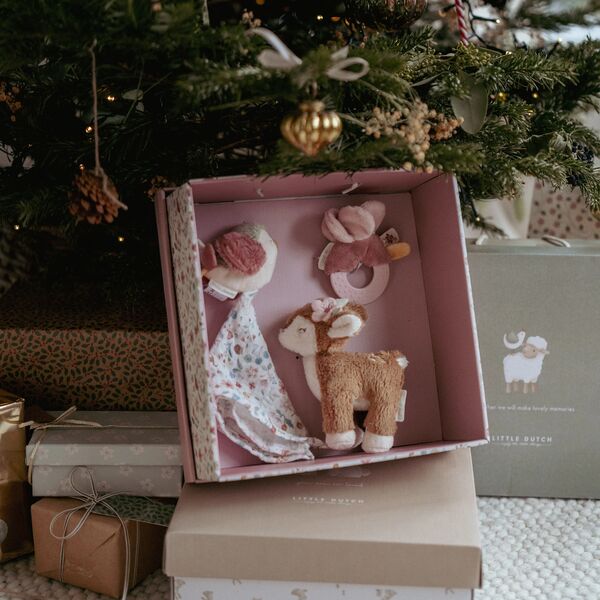 Giftset - Roze - Fairy Garden