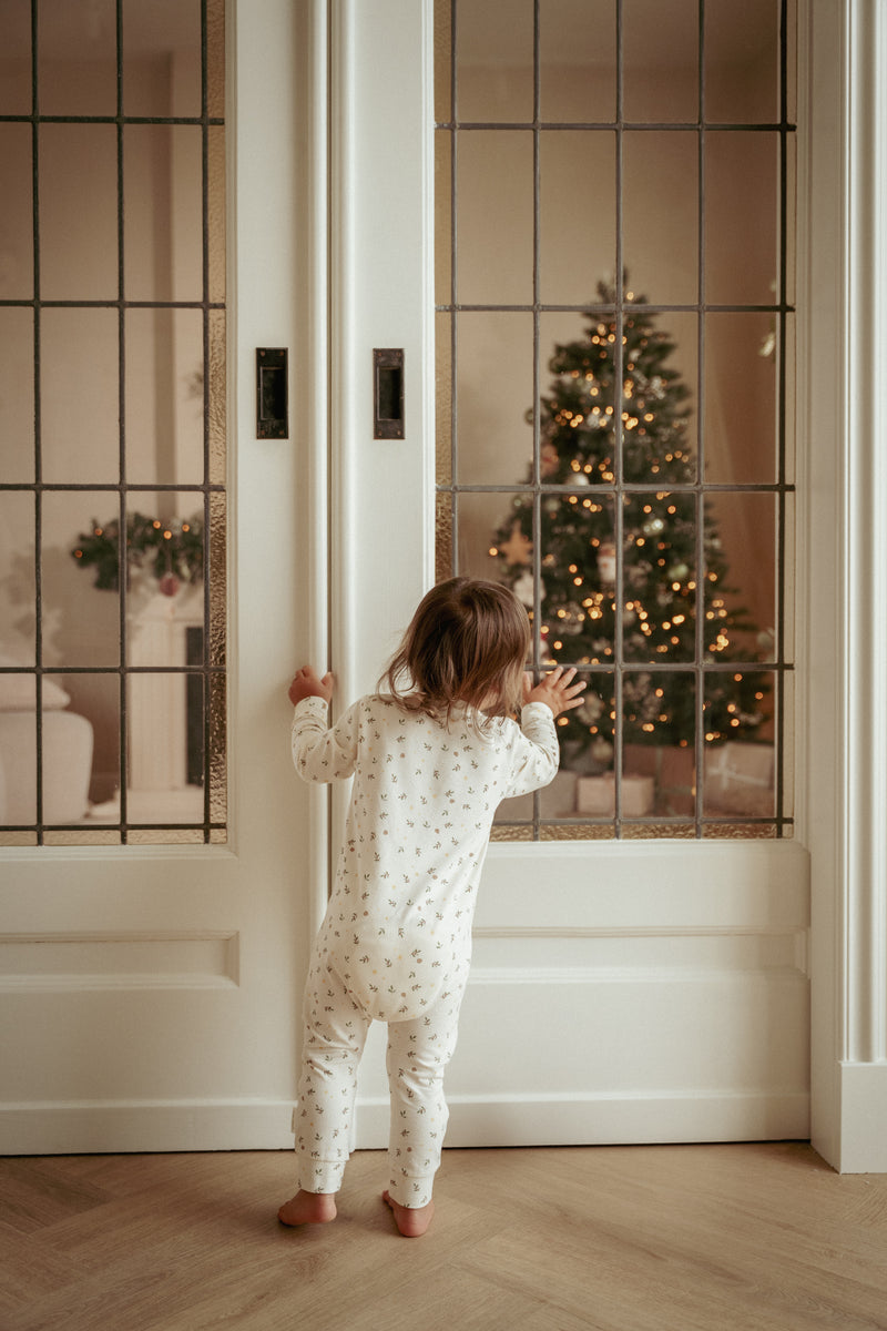 Kerstmis