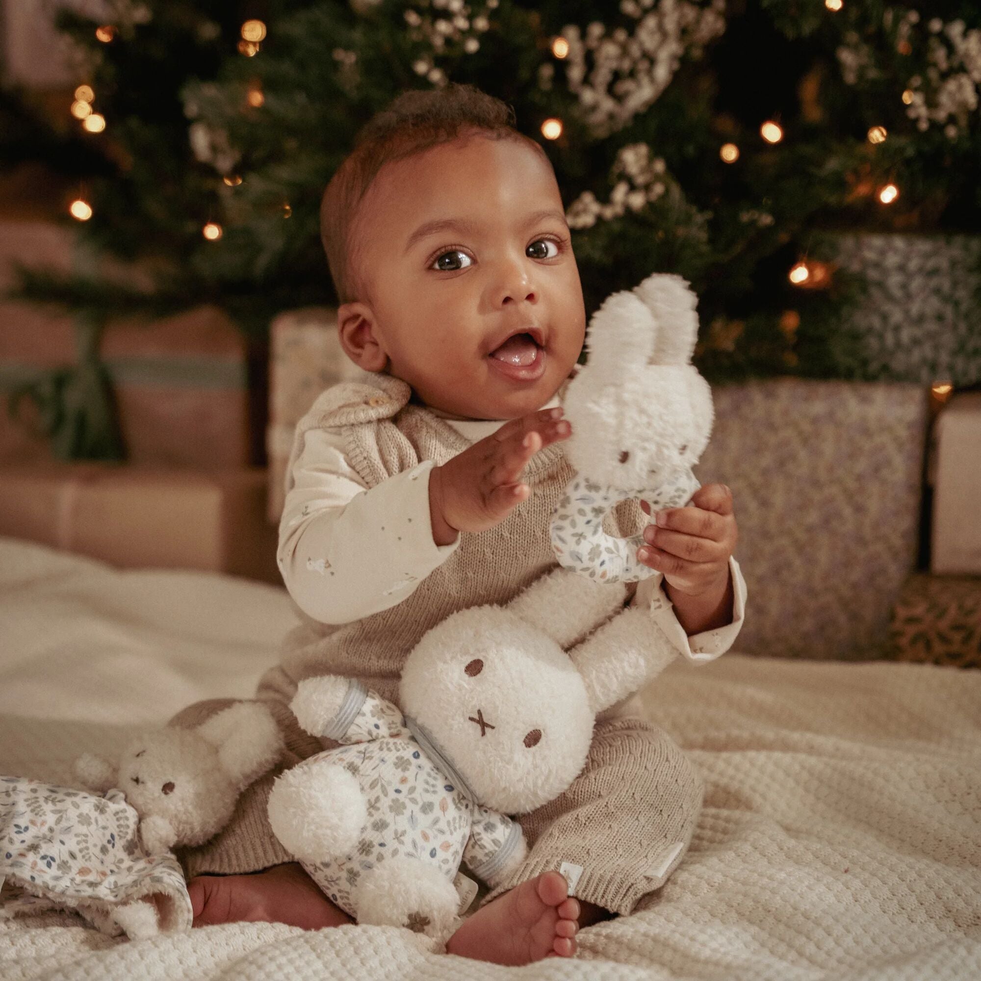 miffy gift box - Blue - Lucky Leaves 