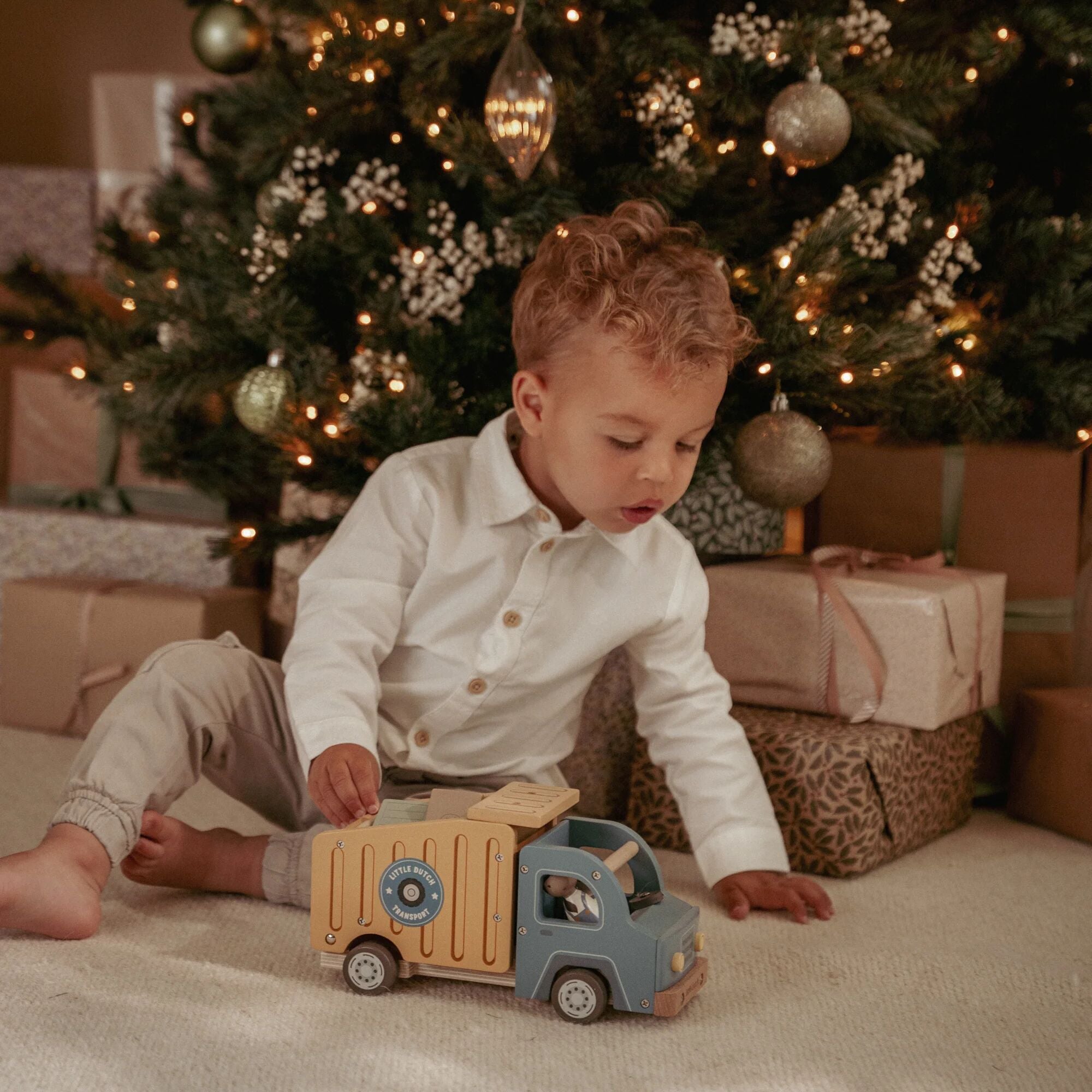 Wooden dump truck – Multicolored – Essentials 