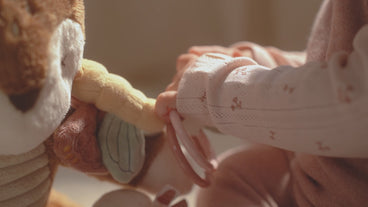 Sinterklaas voor de allerkleinste