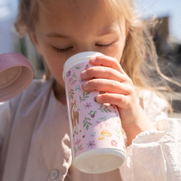 Mittagessenset Fairy Garden 